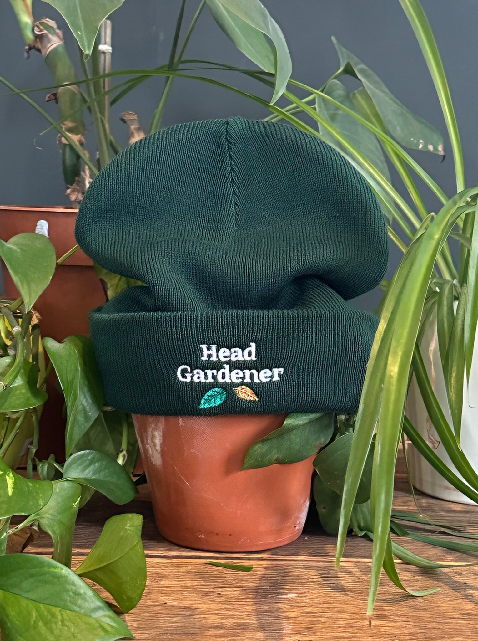 Head Gardener Beanie