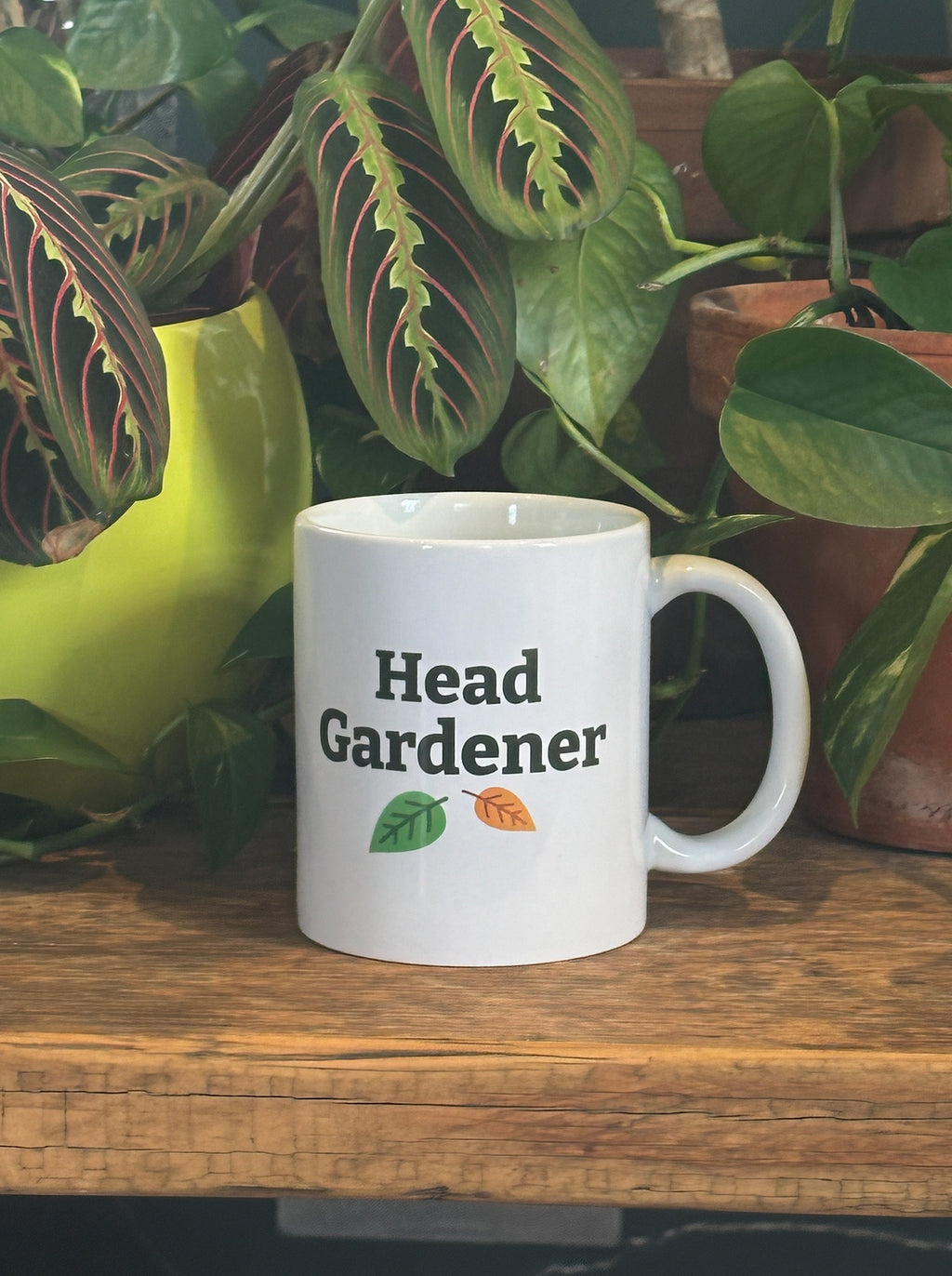 Head Gardener 11oz Mug