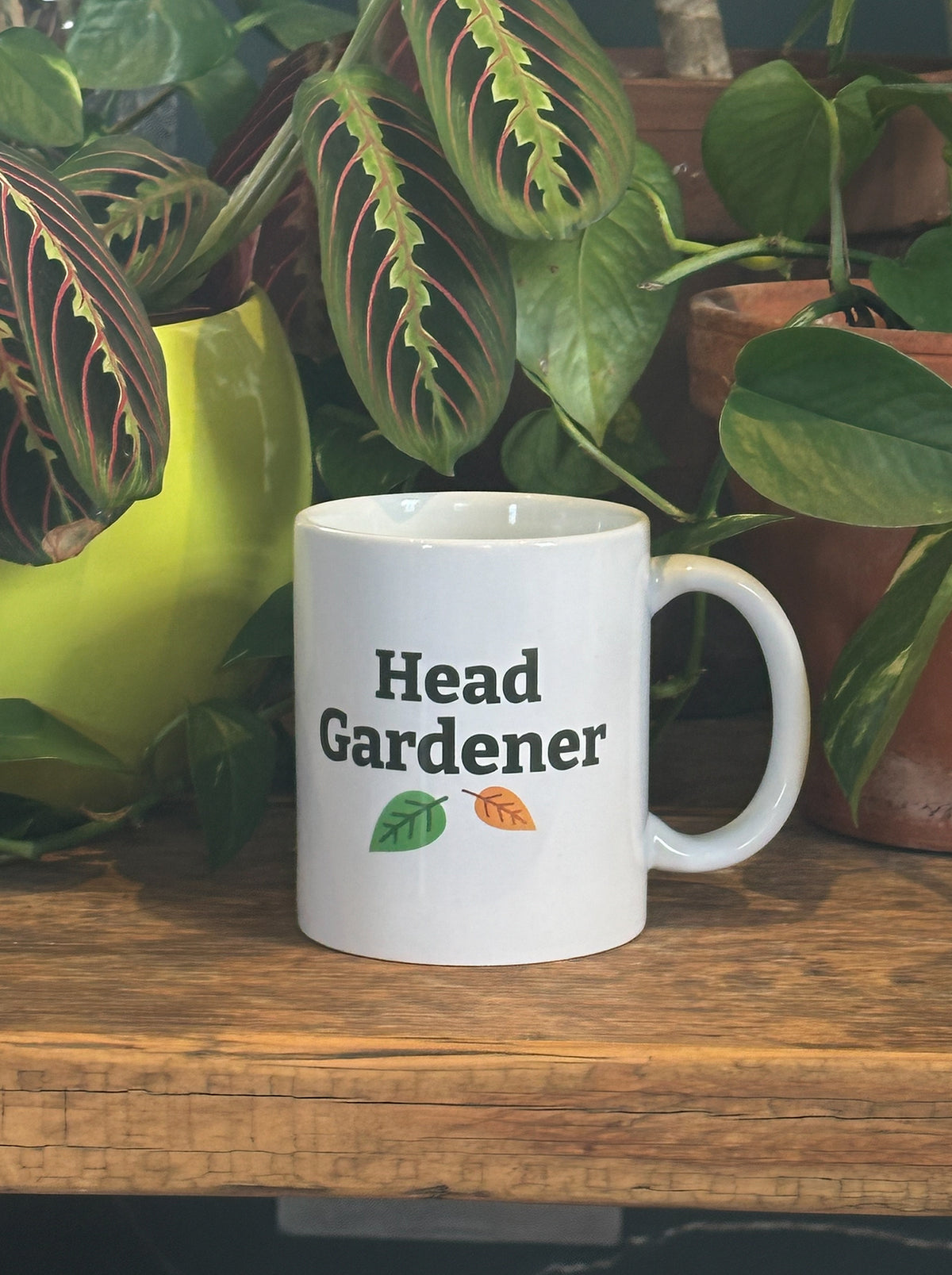 Head Gardener 11oz Mug